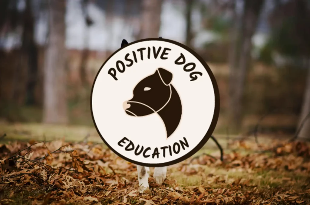 Logo "Positive dog education" avec en fond une photo avec un effet de flou où l'on devine un chine se promenant en forêt