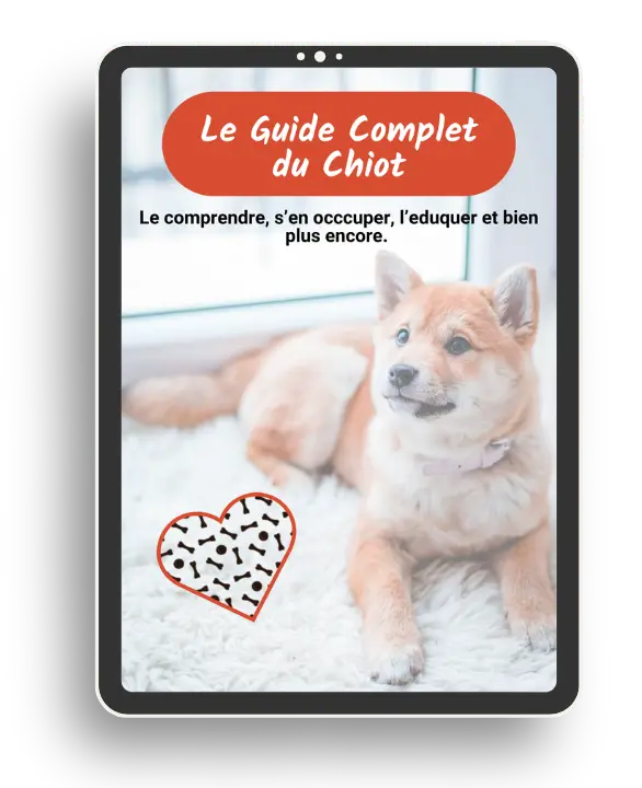 Premi&egrave;re page d'un e-book concernant l'&eacute;ducation canine, on peut y voir le titre "Le guide complet du chiot" ainsi qu'un chiot allong&eacute; regardant l'objectif.