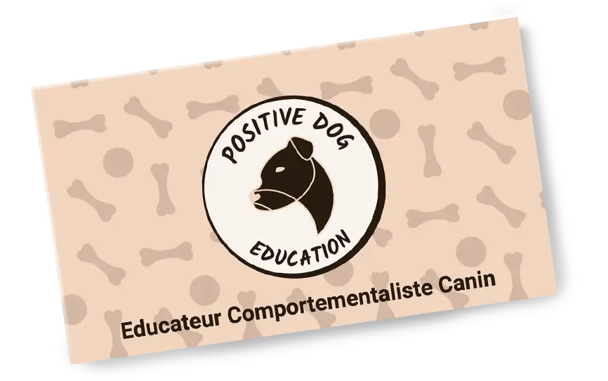 Recto d'une carte de visite d'éducateur canin ou l'on peut y voir les motifs "os pour chien et balles de tennis" disséminés dans le fond.