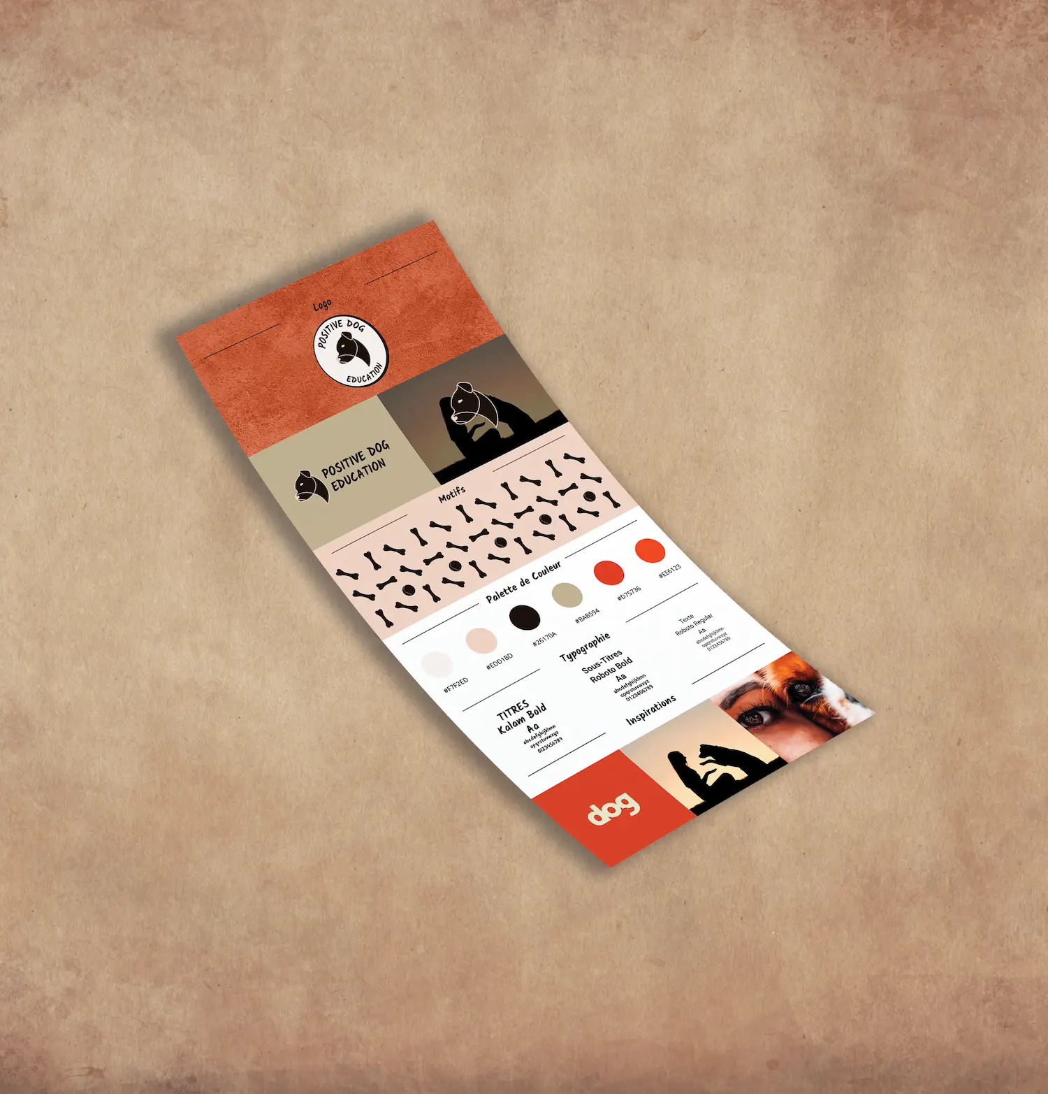 Brandboard représentant l'identité visuelle de Positive Dog Education , les logos, les polices, la palette de couleur et les motifs .