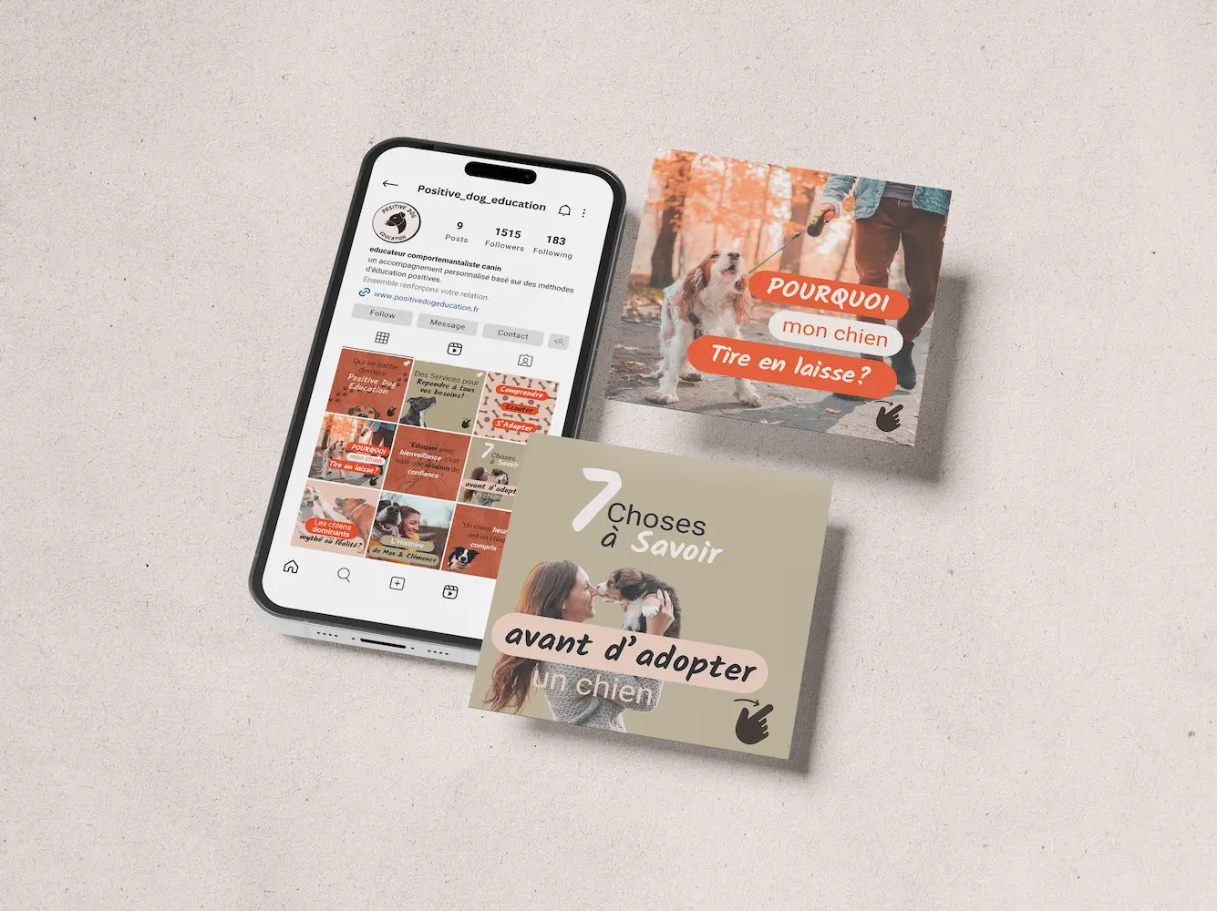 Telephone ouvert sur le feed instagram harmonieux de Positive Dog Education, avec zoom sur 2 posts .