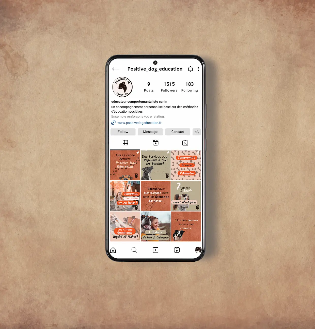 Feed Instagram harmonieux sur telephone, de Positive Dog Education.